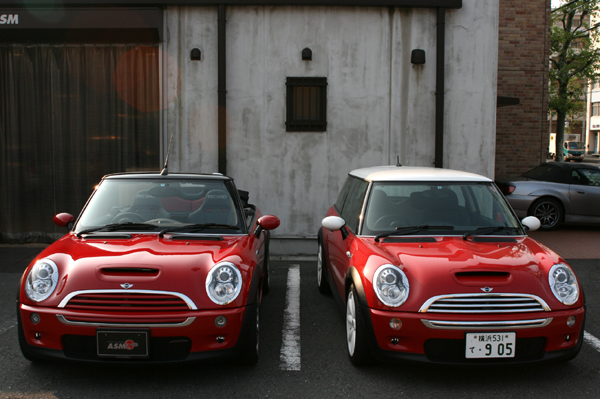 429 mini4 IMG_7024.jpg